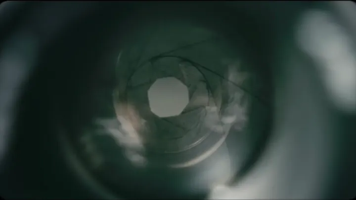 The aperture blades