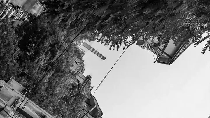 A tilted frame of trees and a building