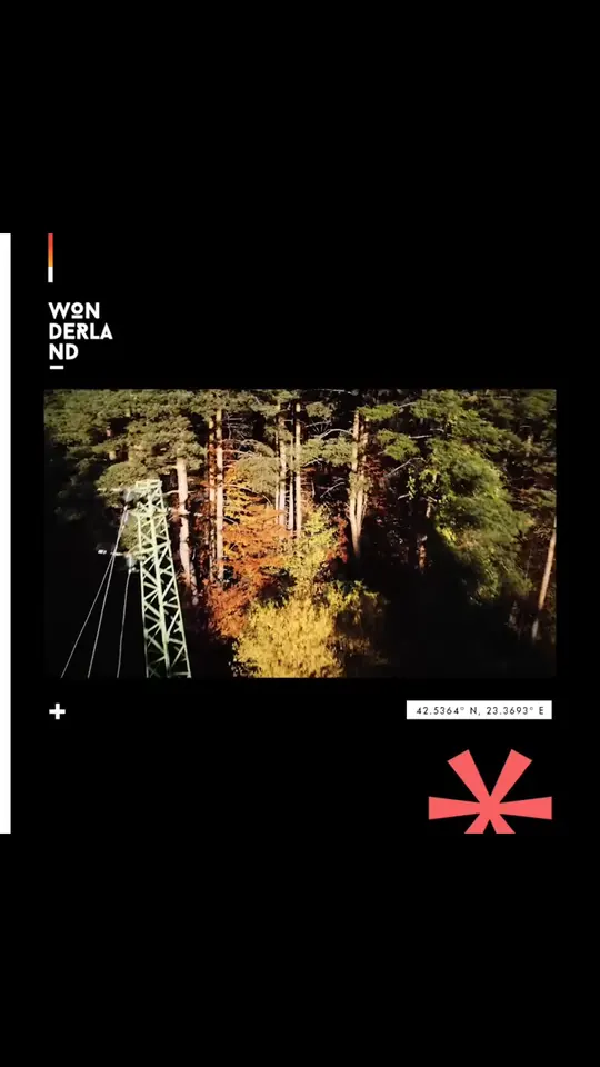 The layout with the forest in the box